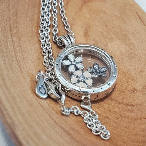 Pandora Floating Locket Necklace - Picture 11 of 14